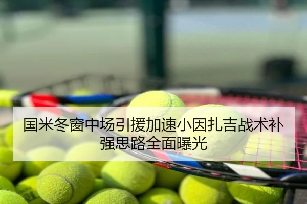 国米冬窗中场引援加速小因扎吉战术补强思路全面曝光