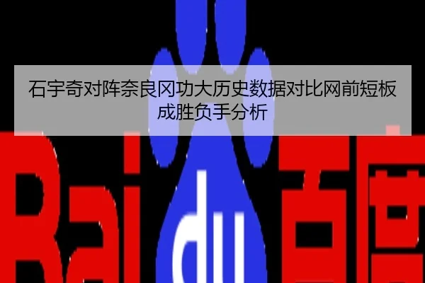 石宇奇对阵奈良冈功大历史数据对比网前短板成胜负手分析